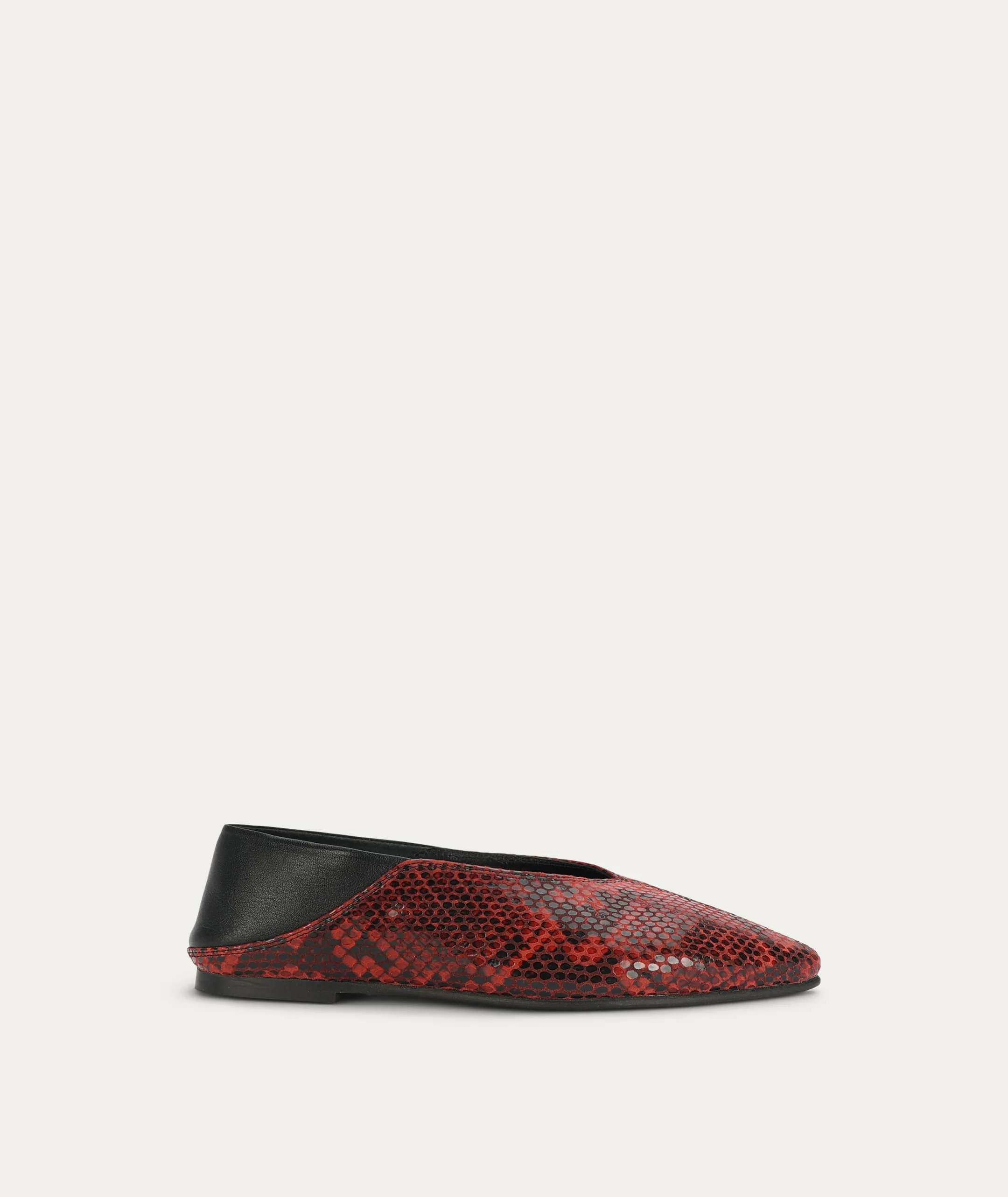Epona Flat - Magma Python - Image 3